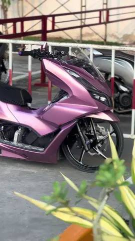 Masih terngiang” sama pcx pink r17 di sound ini😹💃🏻💃🏻