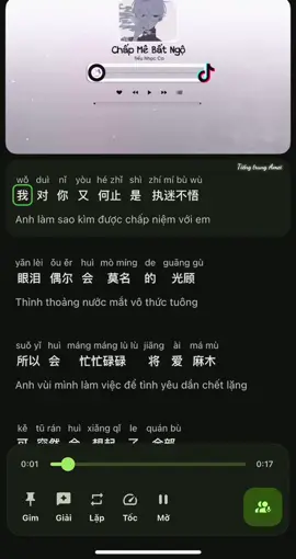 Học tiếng trung qua bài hát : “ Chấp mê bất ngộ - 执迷不悟 “ 🫶🏻 Hiện trung tâm đang chiêu sinh các lớp ONLINE và OFFLINE Thủ Đức - Dĩ An , bạn nào có nhu cầu ib nha #LearnChinese #tiengtrungonline #tiengtrungamei #viral #chinesesongs 