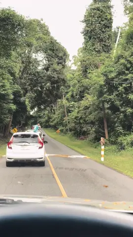 คุ้นๆเหมือนจะเป็นลิง🤣🍃⛰️🐒🐒 #เทรนวันนี้  #เที่ยวเขาใหญ่ #เทรนด์วันนี้tiktok #สัตว์ป่า 