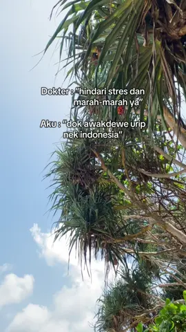 #katakatajowo #jowopride #storyjowo #fypシ゚ #masukberanda