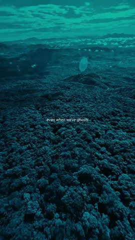 #fyp #lyrics #sayyouwontletgo