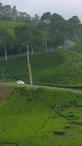 Betah lama lama nokrong disini kalau viewnya seindah ini🤩🍃 #ciwidey #bandung #foryoupage #fyp 