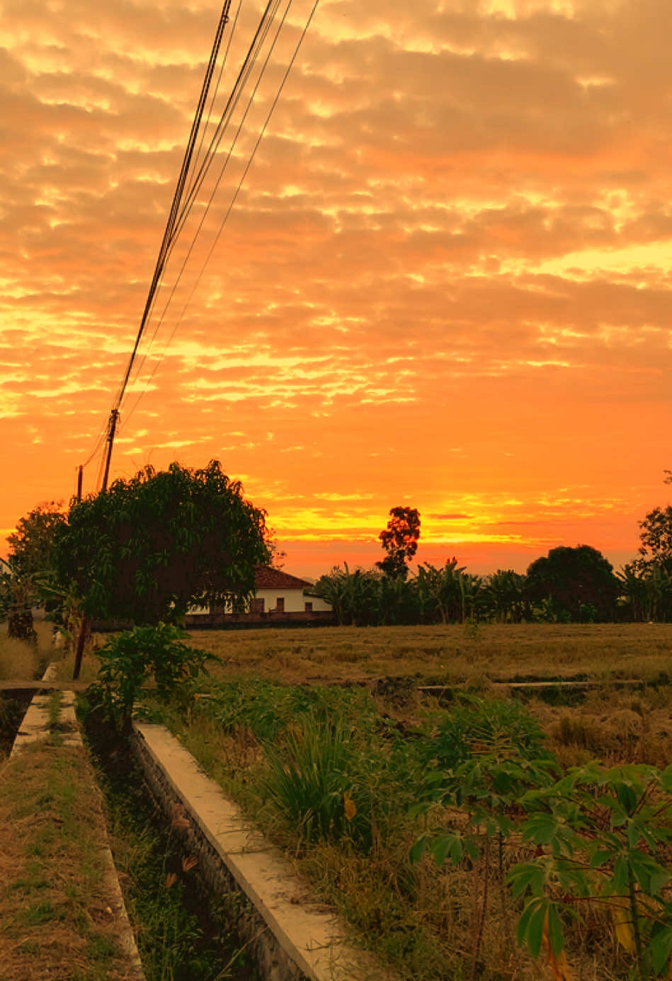 Kata-katanya dong 😇#storyislami #quote #pemudahijrah #santri #fyp 