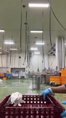 #ponorogo24jam  #pmikorea🇮🇩♡🇰🇷  #fyppppppppppppppppppppppp  #pejuangrupiah  #masukberandafyp 