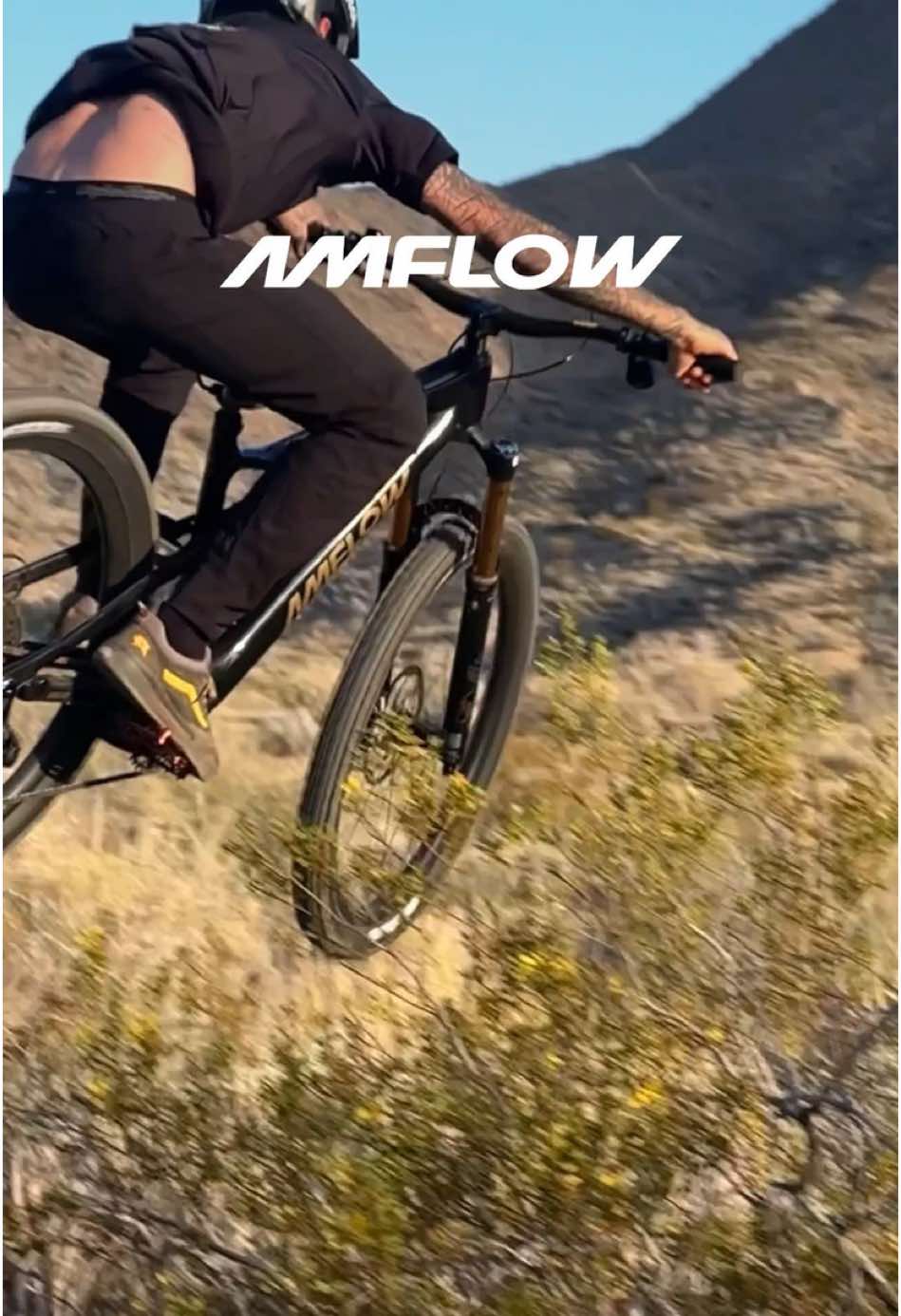 The mountain awaits its ruler. With 105 Nm of relentless torque fused into a lightweight carbon frame and a suspension that unites sensitivity with strength, Amflow transforms every descent into pure flow. Ride not as a rider, but as king of the terrain. 👑 Created by @eytol #AmflowBikes #MountainBike #MTBLife #eMTB #RideWithAmflow