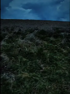 this view got me feeling dizzy 😵  #view #fyp #electronicmusic #forest #jumpstyle 