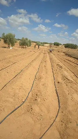 #شعب_الصيني_ماله_حل😂😂 