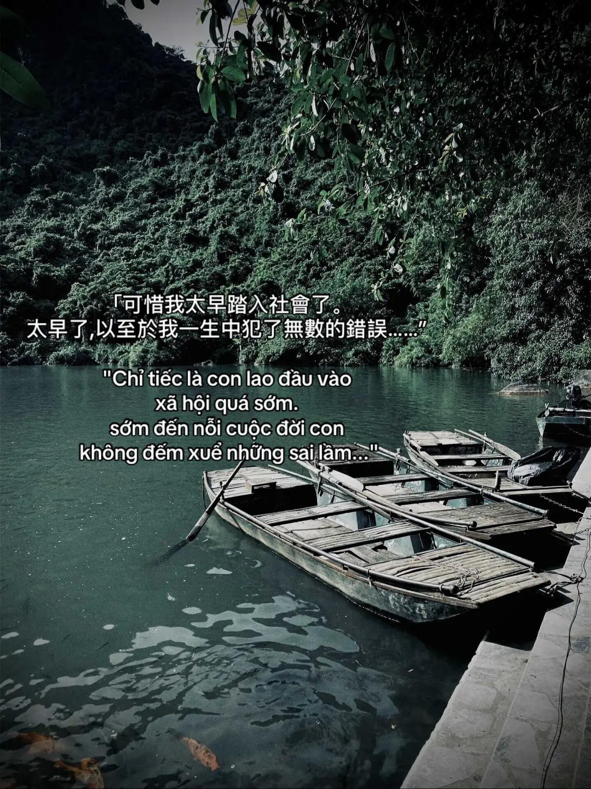 「可惜我太早踏入社會了。 太早了，以至於我一生中犯了無數的錯誤……” #vlong318007 #tamtrang #story #sttdoi 