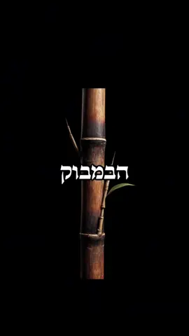 מאחל לכם שנה של צמיחה, כמו הבמבוק 🎋❤️ #פוריו #פוריוישראל #פוריועולמי #fyp #מוטיבציה 