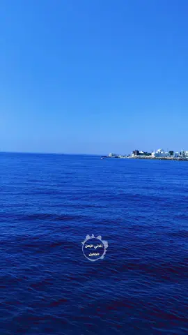 #فريد_الاطرش #ذوقي_للناس_الرايقه #اغاني_الزمن_الجميل #عمالقة_الفن #مجرد________ذووووووق🎶🎵💞 