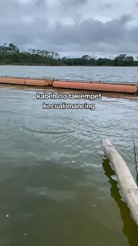 spot WKK  umpan lumut Essen crot  bisa cek keranjang kuning d bawah  video dari om @sodara haup  #fypp  #storymancing 