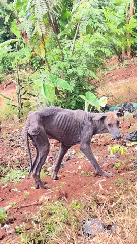 #foryoupage❤️❤️ #foryoupage #going #video #tiktokuganda🇺🇬🇺🇬🇺🇬 #trendingvideo #1millionaudition #fypシ゚viral🖤tiktok #tik #fyp #foryourepage #1milionviews 