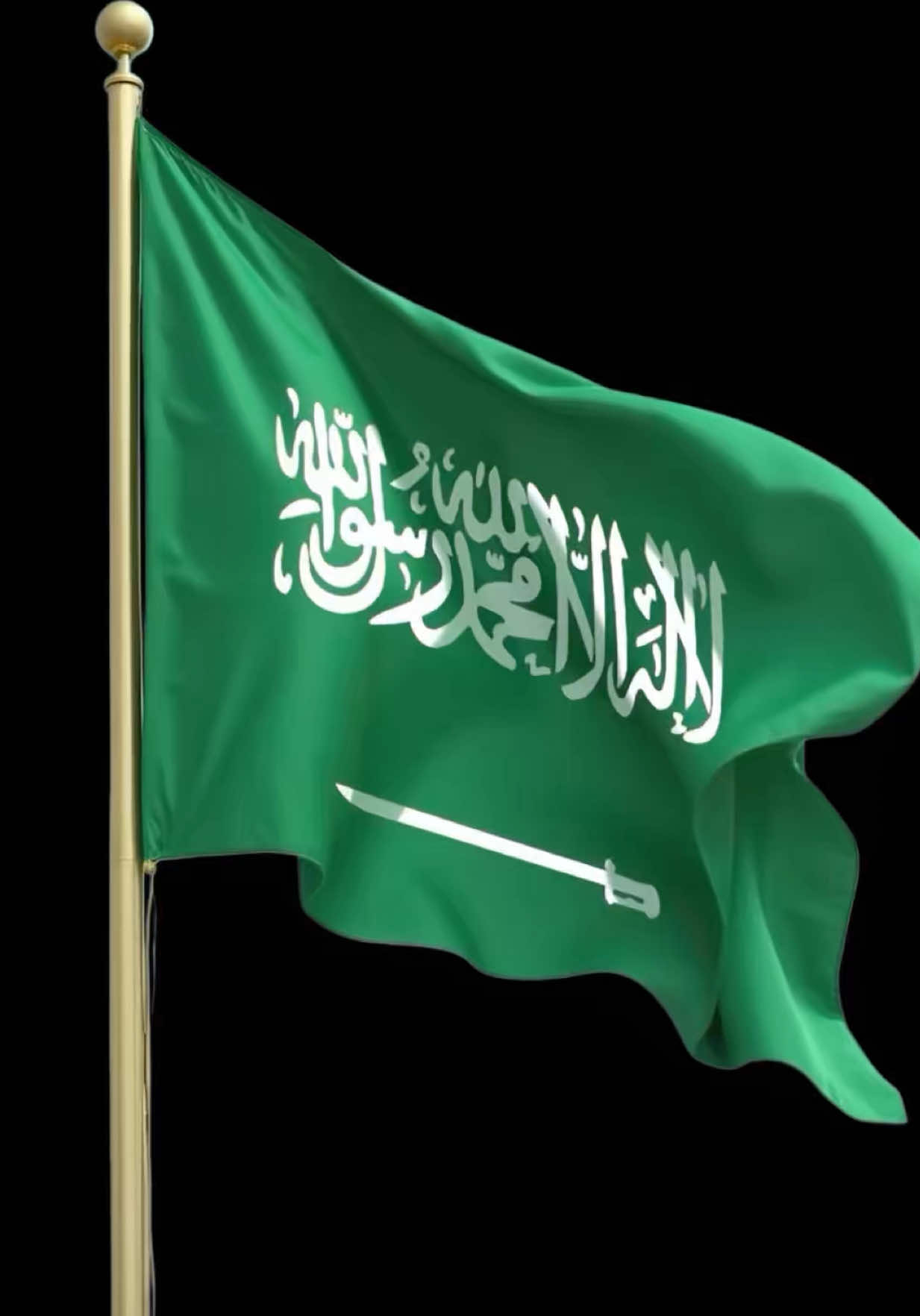 رفرف علمنا على القمه 🇸🇦 #قالب #شيلات نادر الشراري - يالسعودي | اليوم الوطني 95 #السعودية #ترند #اكسبلور 