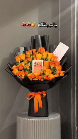 #ايفون17بروماكس #تنسيق_ايفون #باقة_ايفون #هدية_ايفون 