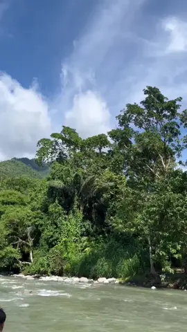 🍃