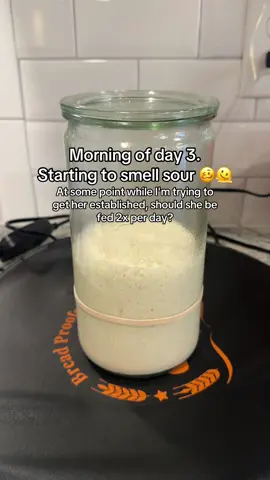 After a full 24 hours each day, I mix her, discard half of what's in the jar and then I feed her 1 cup of unbleached flour and a tiny bit less than 1 cup of distilled water. #sourdoughstarter #sourdoughtok #advice #learning #fyp 