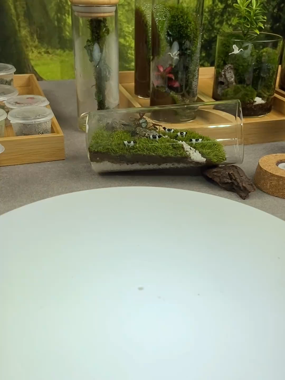 ✨ Cốc thủy tinh – khu vườn mini ✨ Một chiếc terrarium nhỏ xinh, vừa để bàn làm việc thêm xanh mát, vừa là món quà cực tinh tế 🎁 👉 Khám phá ngay tại LIM TERRA #limterra #terrarium #cocthuytinh #terrariumdecor #caycanhmini #quatangdocdao #caytrongkinh #trangtrinoithatquanwindow #terrariumvietnam