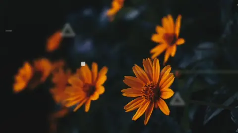 @Titus Vybes Help me with this lyrics papa #lyricsvibes71 #mwaniz5 #Nazite 