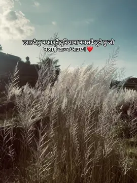 हराउदै छु म आफ्नै दुनियामा म उसकै हुने छु जो मलाई खोज्न आउछ।❤️