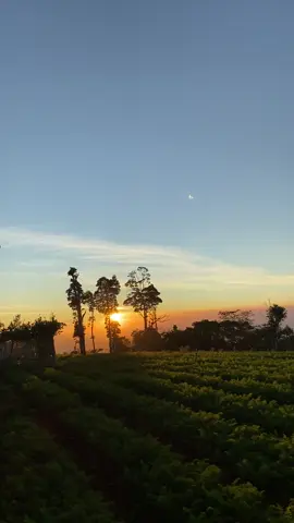 Sungguh indah ciptaanmu Ya Allah🌸#keindahanalam #ujungbulu #soundarabic💞💞 #fypシ゚ #sulawesiselatan 