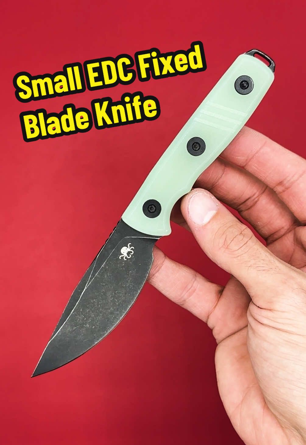 A small EDC fixed blade with 14C28N and a kydex sheath. Perfect for everyday carry or outdoors. #pocketknife #edcknife #everydaycarry #fixedblade #creatorsearchinsights 