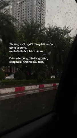 Em đã chuẩn bị cho mình từ lâu rồi, chuẩn bị cho việc rời xa anh… nhưng dặn lòng là thế nhưng em chẳng làm được …. #fyp #trending #kittycat #mưa 