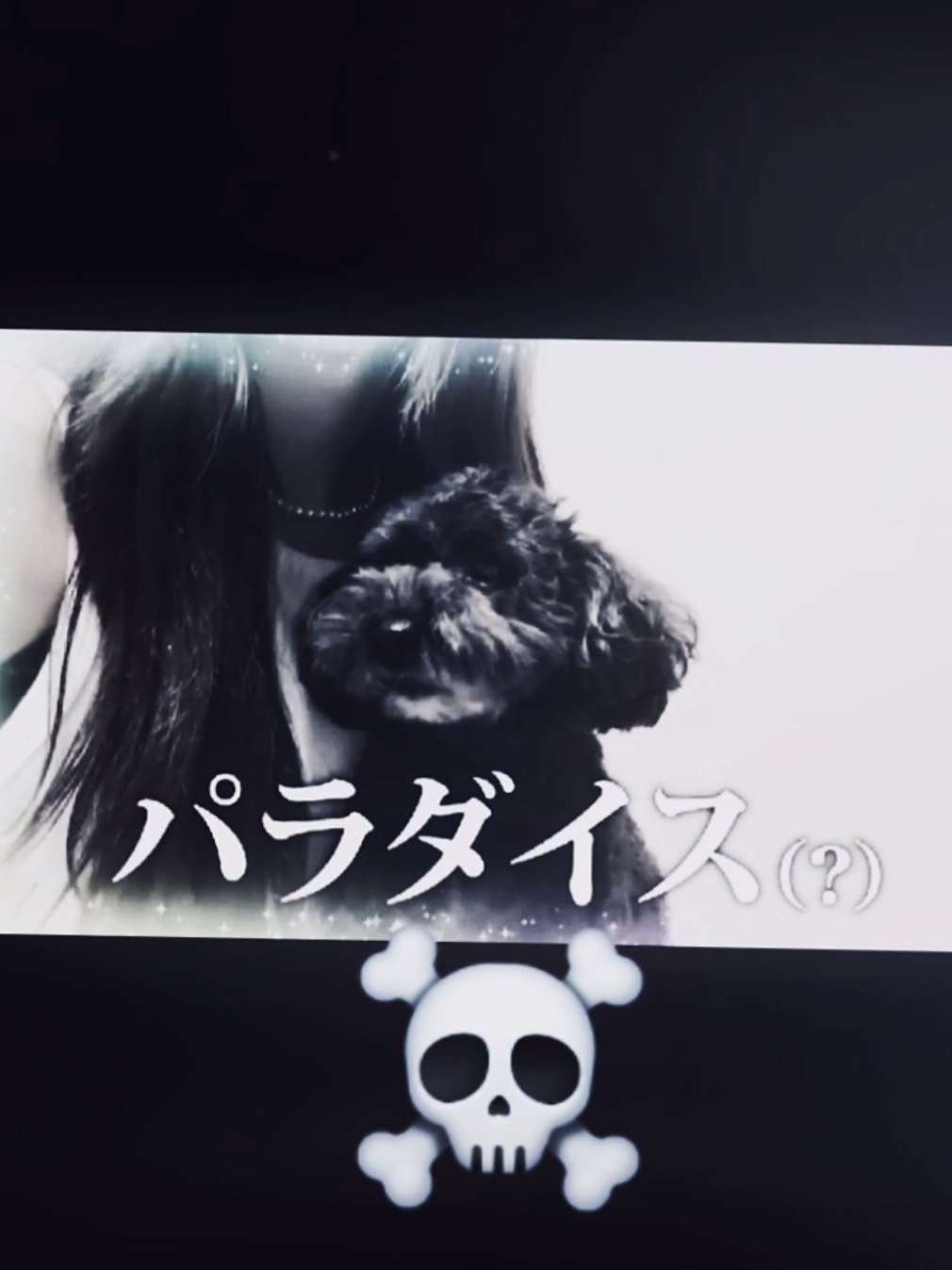 ぷーちゃん🐶大事件でパラダイス?って言ってるの面白すぎる笑 #CapCut #ぷーちゃん大事件💗  #みなみちゃんに届け🦄💙  #インフルエンサーみなみちゃん  @🦄💙MINAMI💙🦄 @みなみ🦄💙 