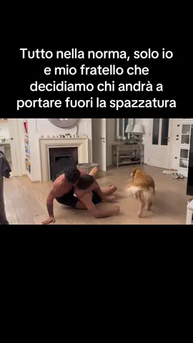 Con tanto di Aki che fa da arbitro 🦮 #fyp #gym #grappling 