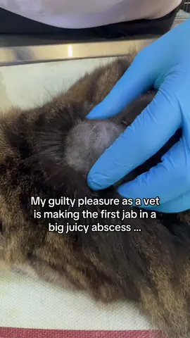 Who doesn’t love a good abscess yall.  It’s even better than pimple popping …  #abscess #satisfyingvideos 