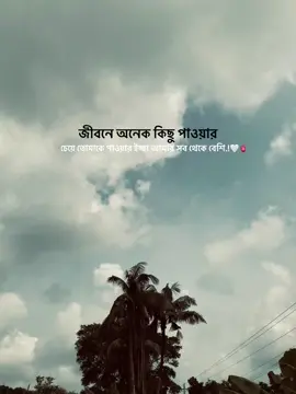 তোমাকে পাওয়ার ইচ্ছা আমার সব থেকে বেশি.!🤍🫀!!A!!#foryou #foryoupage #bdtiktokofficial🇧🇩 #fyp @TikTok @tiktok creators @TikTok Bangladesh 