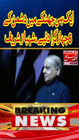 6 aircraft shot down in one strike, Shahbaz Sharif #undalasnews #shabazshreef #shortvideo #PakistanZindabad  #PAFZindabad                  