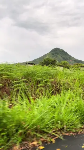 #lebong #bengkulu #pabes #senja #fyp 