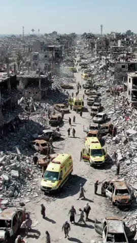 #creatorsearchinsights #fyppppppppppppppppppppppp ##foryou #foryoupage #viralvideo 