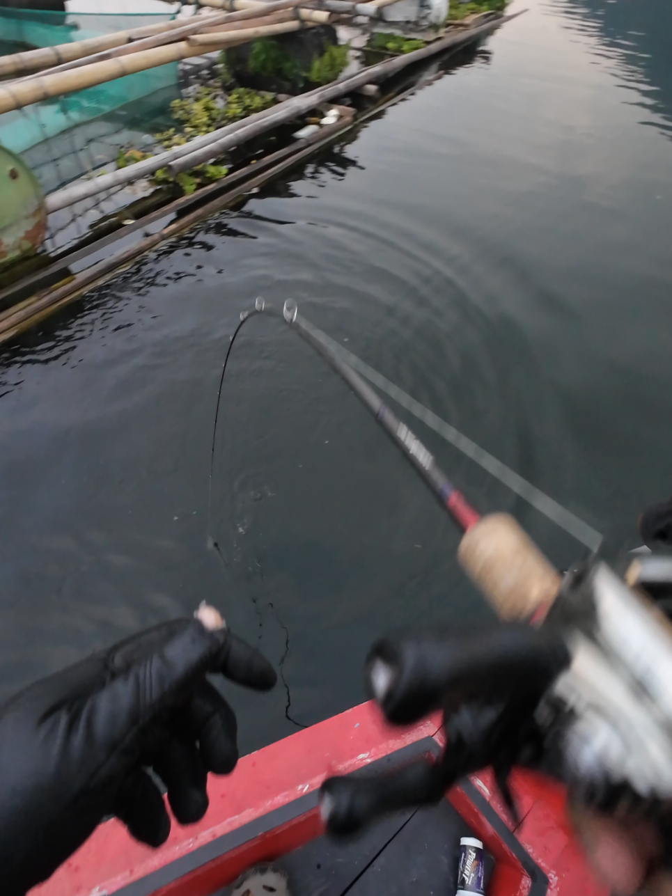 DUARR 🗿 #mancing #shimano #fishing #castingtoman #jatiluhur 