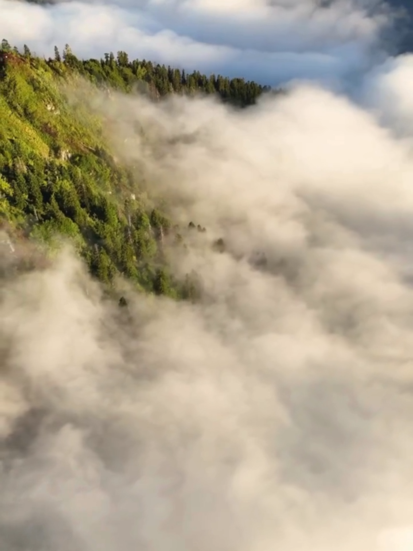 CLOUDS LIKE COTTON #viraltiktok @mysteriouboy125 🥰🤩😎😋😚😊