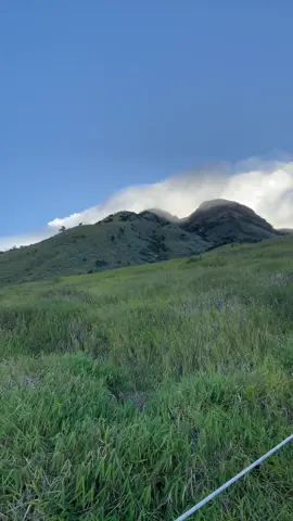 Sumbing 20 September 2025#gunungsumbing #pendakifomo #fyp 