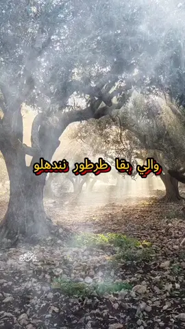 #بلال_فطيمة #الي_بقا_طرطور_ونندهلو_ولا 