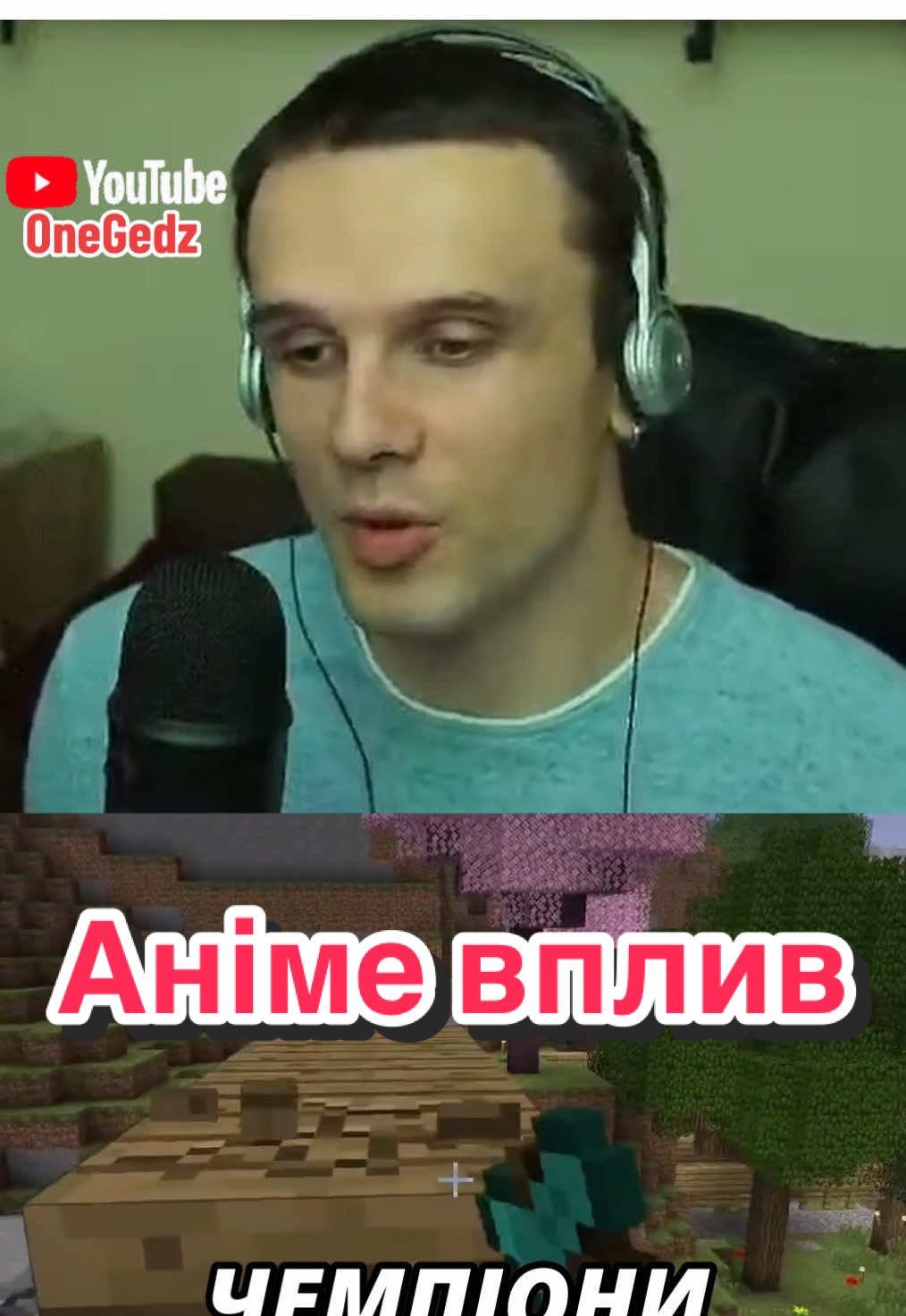 #Minecraft #gaming #anime #japan #ґедзь 