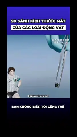 Thật kỳ lạ #hoancheng 