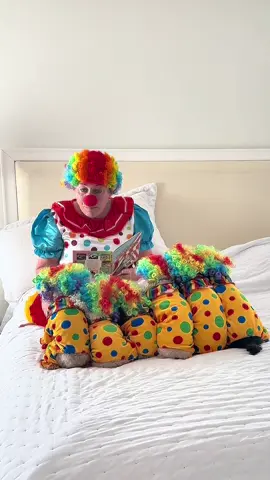 Mama is reading us a book about Dumbo 🐘 🎪 We are obviously dressed as clowns 🤡🤣 These adorable clown 🤡 pajamas are from @Fitwarm Official 🥰 Feel free to use our discount code POODLE20 ❤️ #clown #pajamas #dogclothes #dogsoftiktok #storytime 