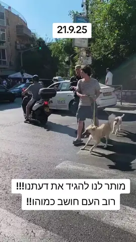 #ערוץ14 #הפטריוטים #נועםאמיר #איילהחסון #הללביטוןרוזן 