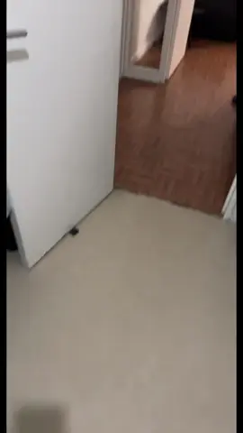 J’avais oublier de vous poster cette vidéo mais vous inquiétez pas depuis on est réconcilié 😂#tiktokfr #ritajann #pourtoi #momlife 