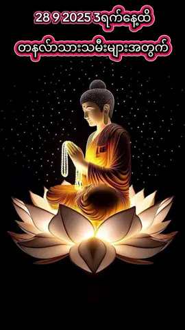 တနလ်ာသားသမီးများအတွက်#🇲🇲သဲကုန်းသားလေး🇲🇲 #tiktokpakistan #ရောက်စမ်းfypပေါ် 