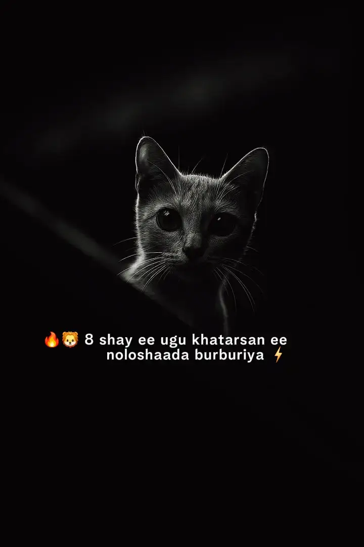 🔥🦁 8 most dangerous things that destroy your life ⚡ 1-:)🐟Don't talk to anyone about your dreams A fish that closes its mouth won't fall into the pipe. 2-:)🧳Don't get distracted by other people's problems You only have to think about your own problems, because no one else will be disappointed by your problems. 3-:)🕸️Don't get close to people Don't be too close to anyone, so that you don't get used. 4-:)Don't lend to anyone or borrow from them 💰 Money destroys friendships, and it burdens you with debt. 5-:)📉 Don't spend more than you earn You will become poor and no one will take care of you. 6-:)⏳Don't think about the past It can hinder your progress. The future is waiting for you, so don't stay where you are. 7-:)⚖️Don't compare yourself to others Everyone has their own path, and your success is guaranteed by your personal development. 8-:)🧠Don't neglect your mental health Intelligence is the real success, don't let it ruin anything. 