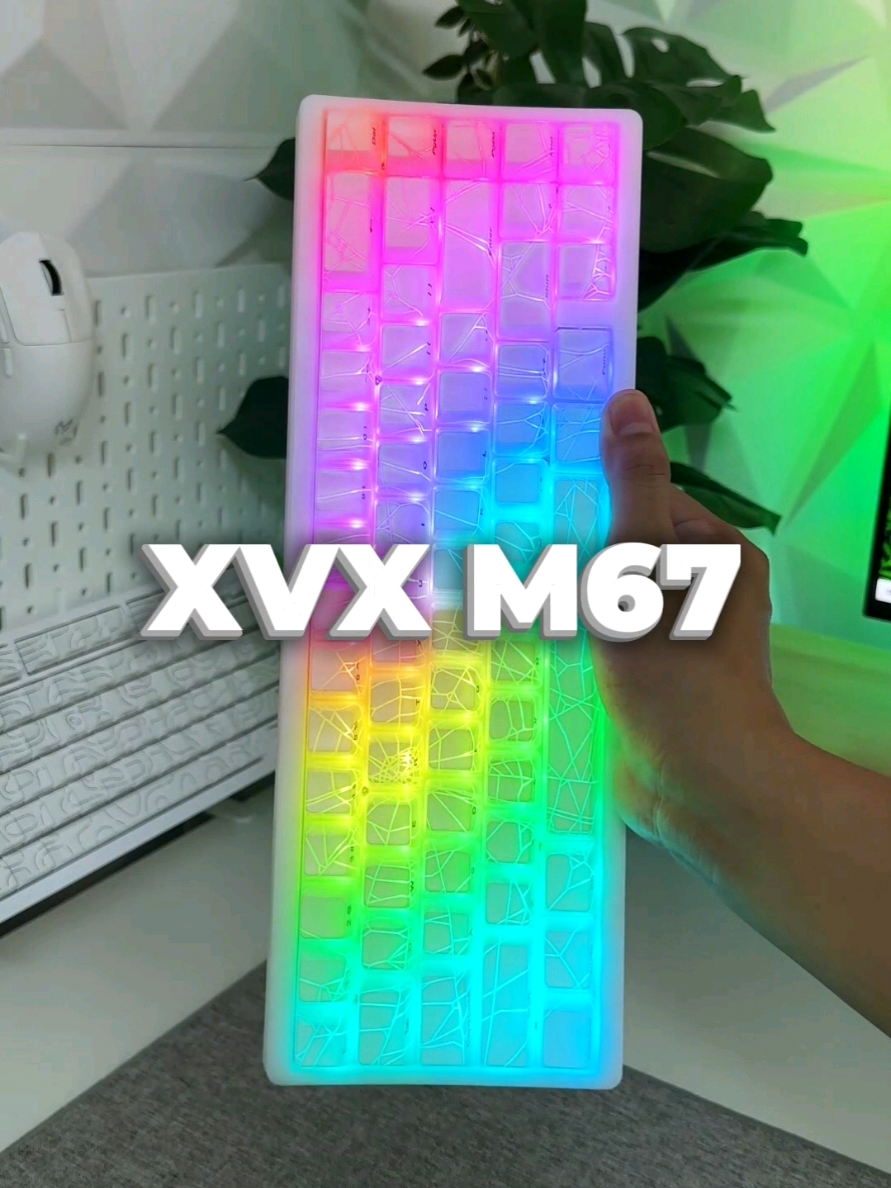 XVX M67 - Một em bàn phím cơ không dây layout 65% vừa gõ ngon vừa có led cực kỳ sáng #banphimco #banphimgaming #xvxm67 #xvxm67jadestone #m67 