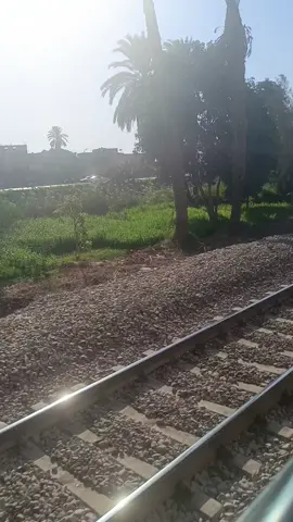 #السعودية🇸🇦 #الغربه_مره #اليوم_الوطني_السعودي_٩٥🌴🇸🇦🌴🇸🇦🌴 #مصر🇪🇬 