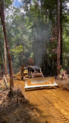 #pilotrajarimbe #gengsentaiwong 