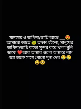 😫😫😫😫😫#foryou #catsoftiktok #trendy #viral #tiktok 