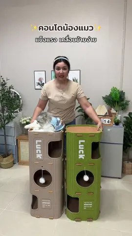 #คอนโดแมว #คอนโดแมวสวยๆ #บ้านน้องแมว #บ้านแมว 