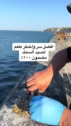 افضل سر لصيد السمك#السمك_عم_يلعب_لعب #onthisday 